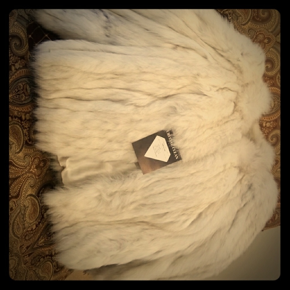 Blue Fox Jacket - image 1